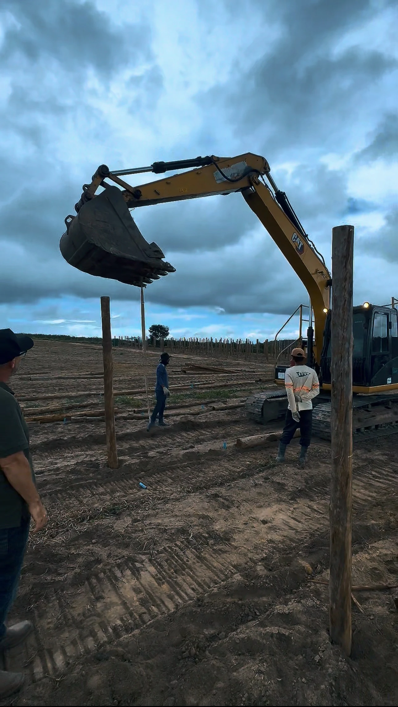 Experiência prática da Erasmo Agro no campo — imagem 28 de 38